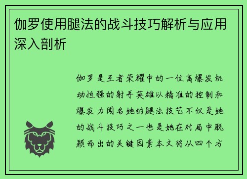 伽罗使用腿法的战斗技巧解析与应用深入剖析